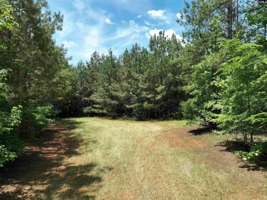 TBD Elford Grove, Jonesville, SC 29353 - #3