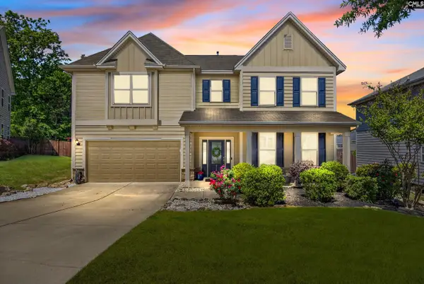 436 Maria Posada Court, Chapin, SC 29036