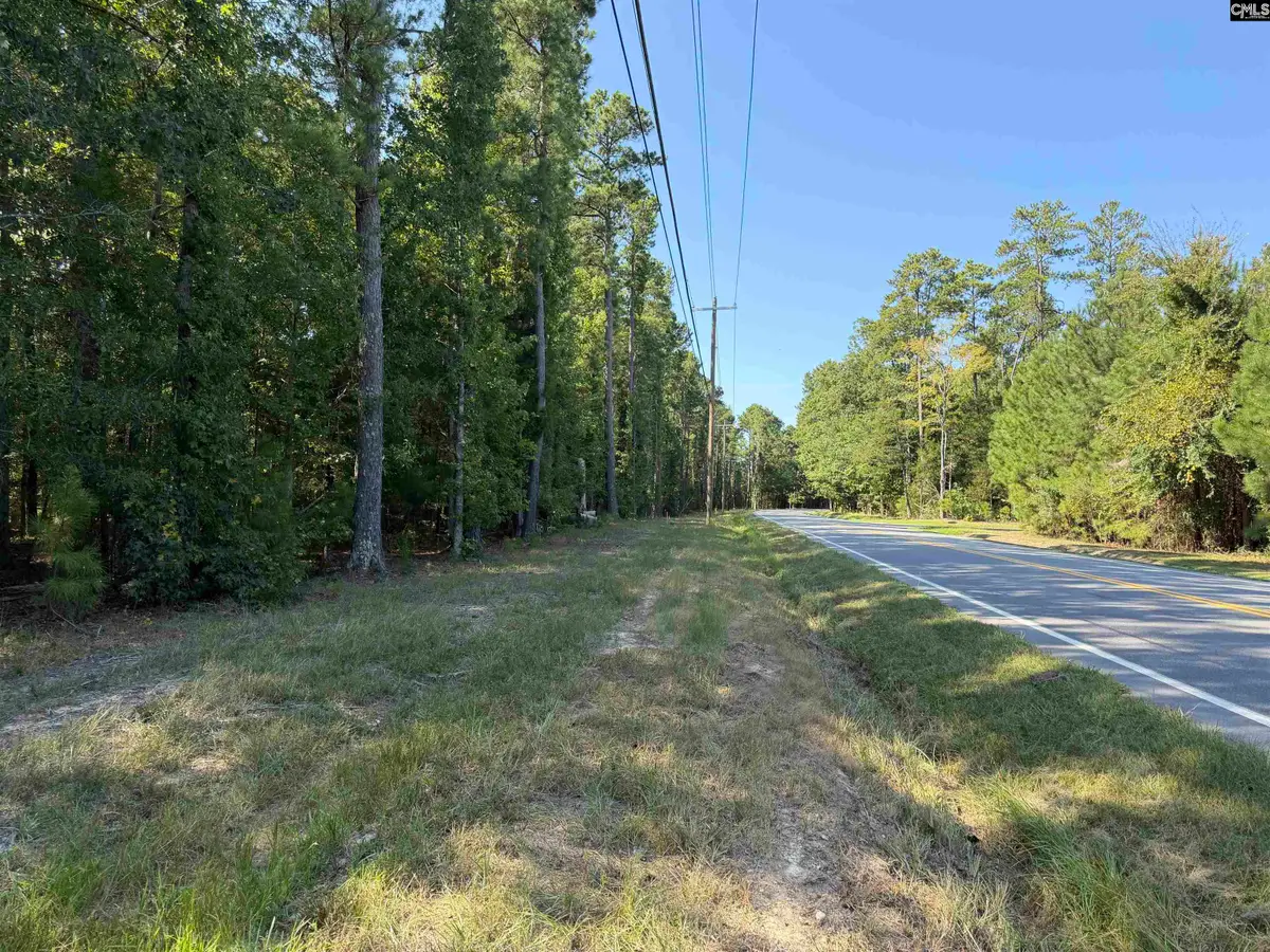 367 Murray Lindler Road, Chapin, SC 29036 - #1