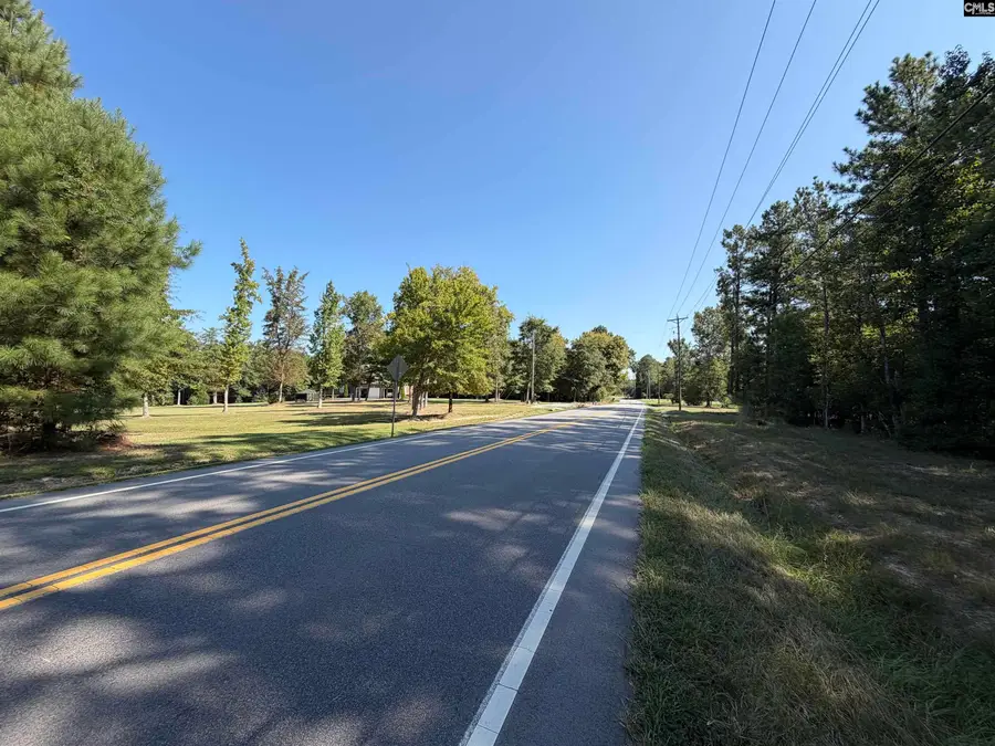 367 Murray Lindler Road, Chapin, SC 29036 - #3