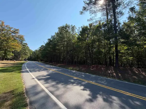 391 Murray Lindler Road, Chapin, SC 29036
