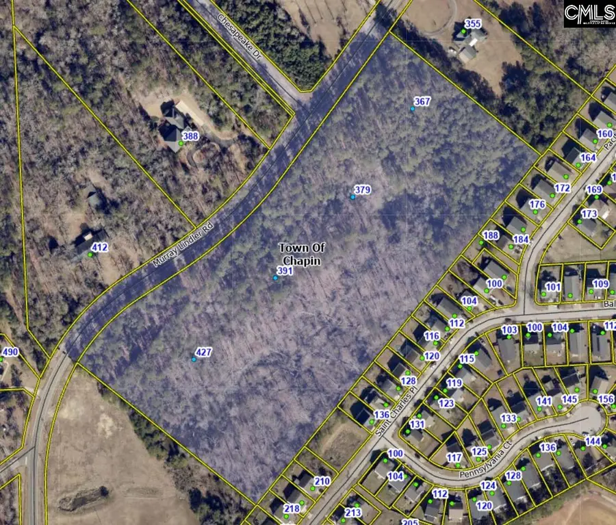 391 Murray Lindler Road, Chapin, SC 29036 - #3