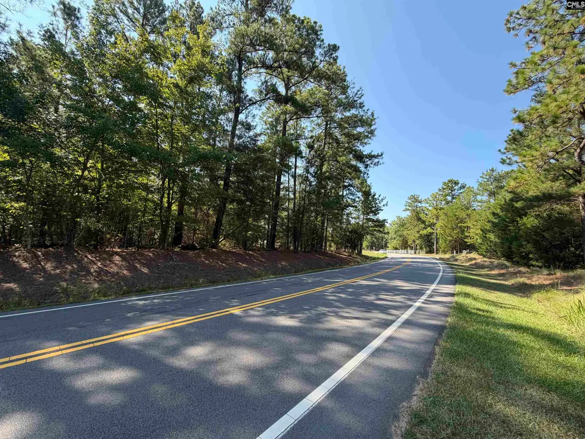 427 Murray Lindler Road, Chapin, SC 29036 - #1