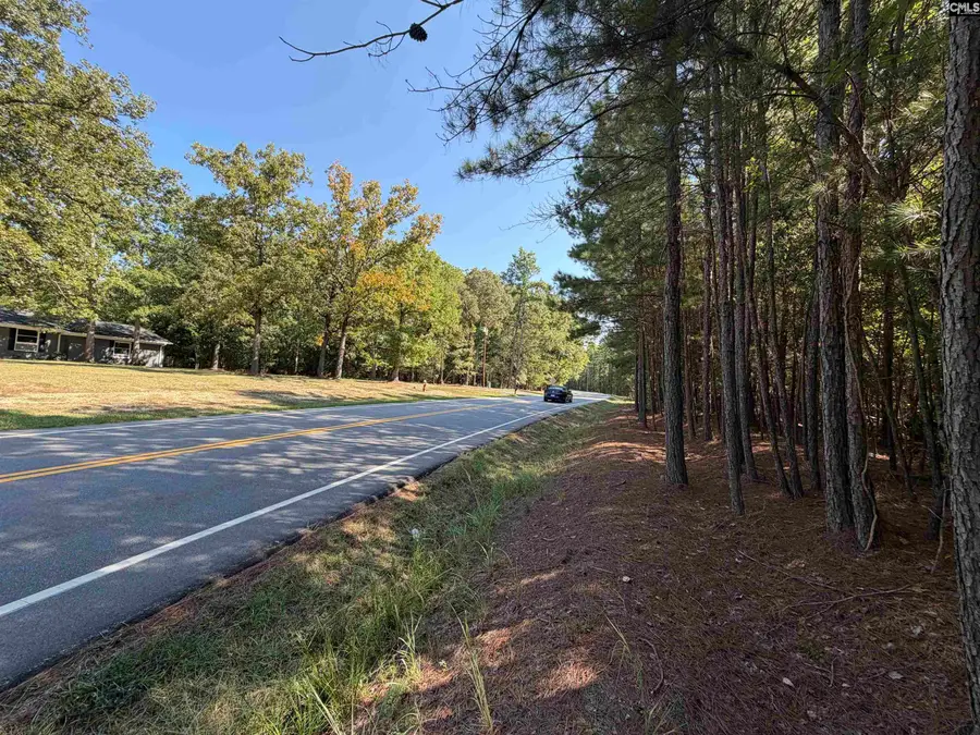 427 Murray Lindler Road, Chapin, SC 29036 - #3