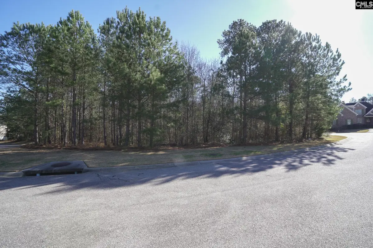 329 Brunner Circle, Blythewood, SC 29016 - #1
