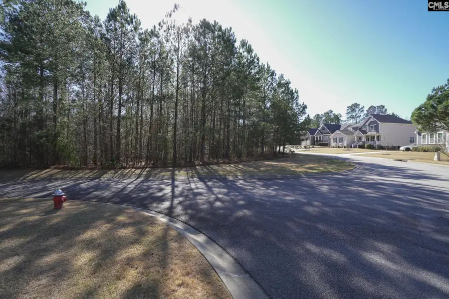 329 Brunner Circle, Blythewood, SC 29016 - #2
