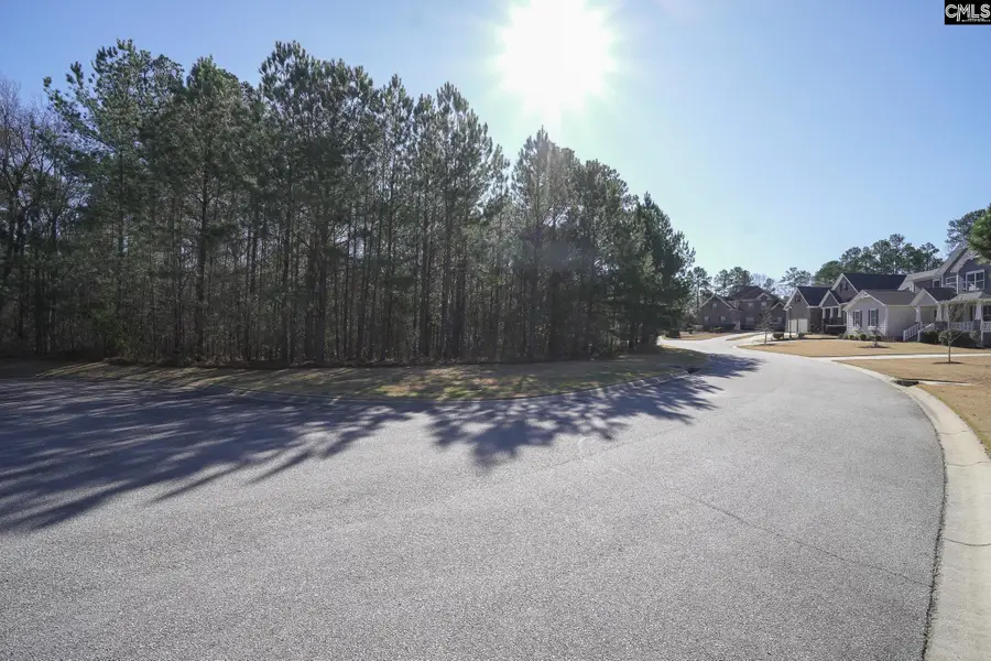 329 Brunner Circle, Blythewood, SC 29016 - #3