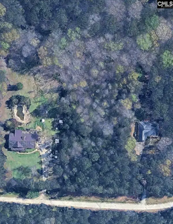 143 Eagle Chase Court, Chapin, SC 29036