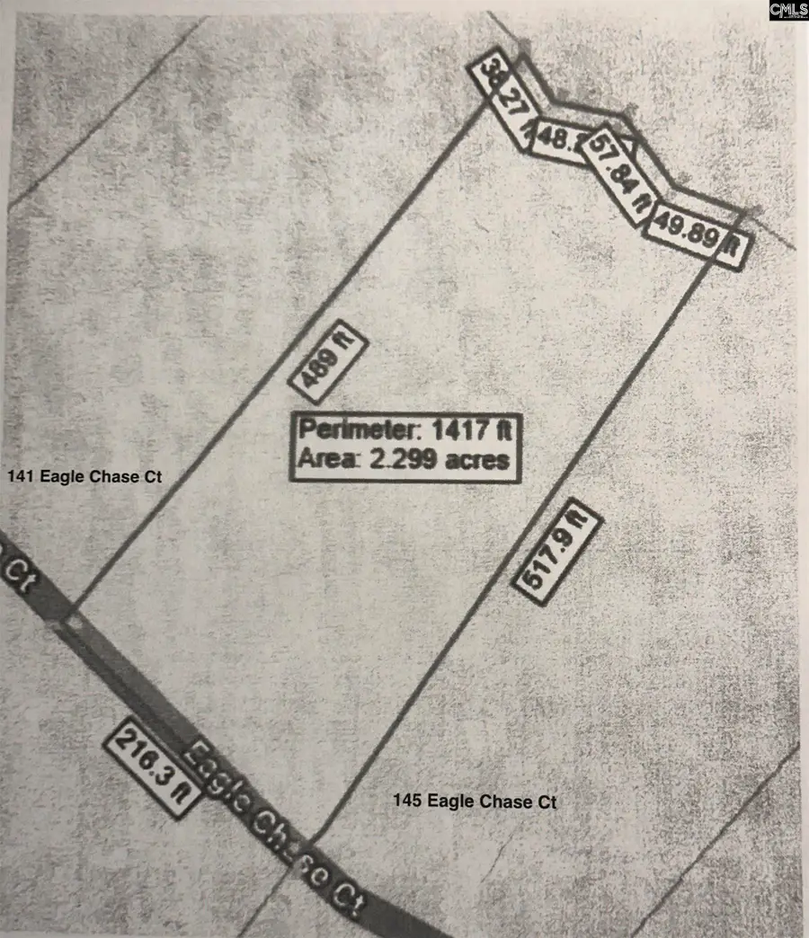 143 Eagle Chase Court, Chapin, SC 29036 - #2