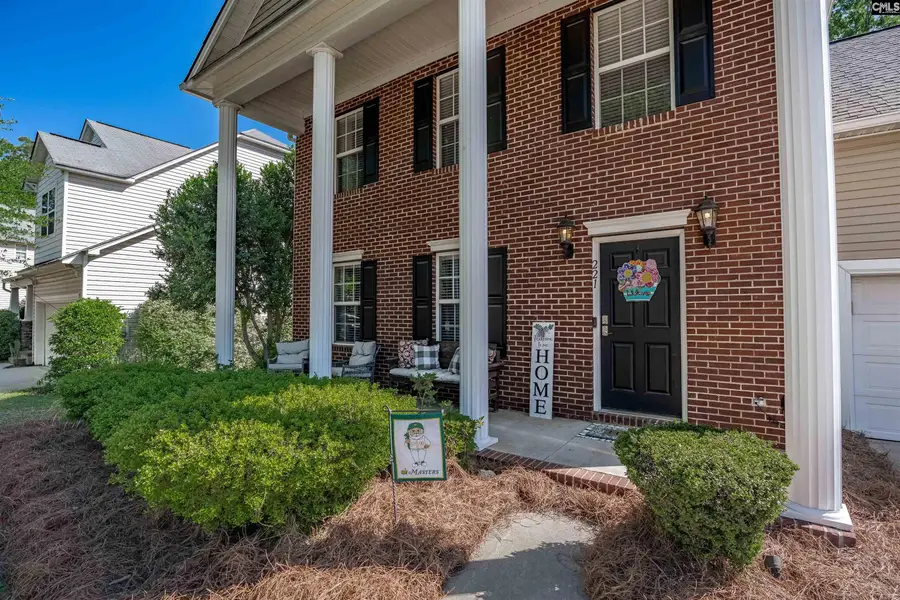 221 Foxport Drive, Chapin, SC 29036 - #2
