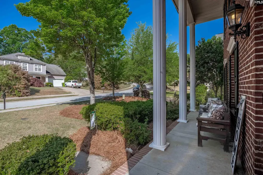 221 Foxport Drive, Chapin, SC 29036 - #3