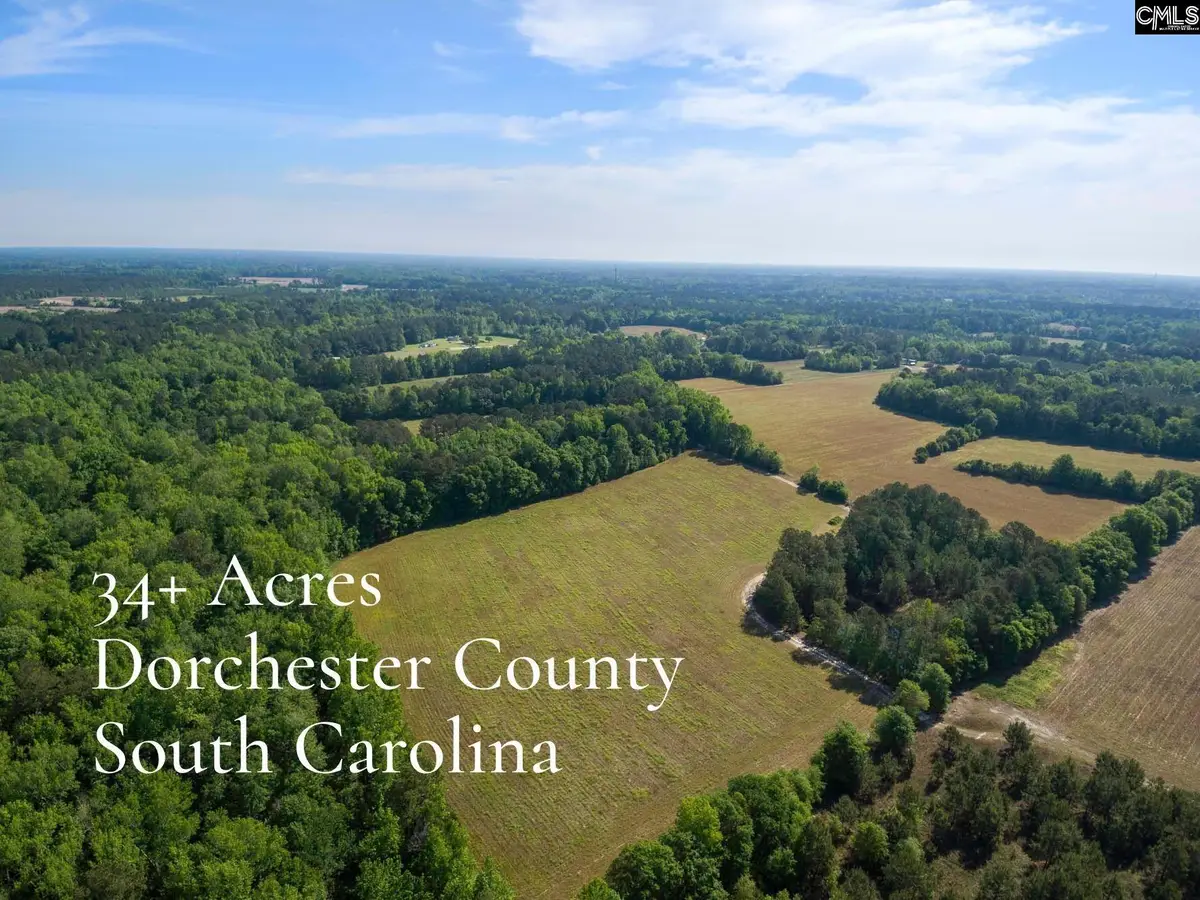TBD New Meadow Drive, Reevesville, SC 29471 - #1