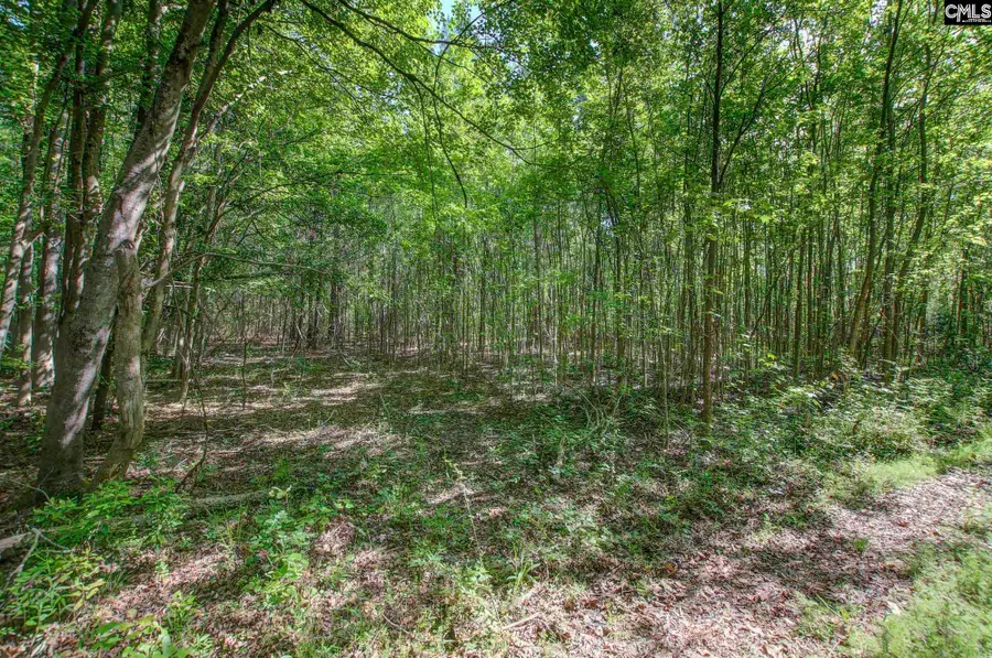TBD New Meadow Drive, Reevesville, SC 29471 - #3