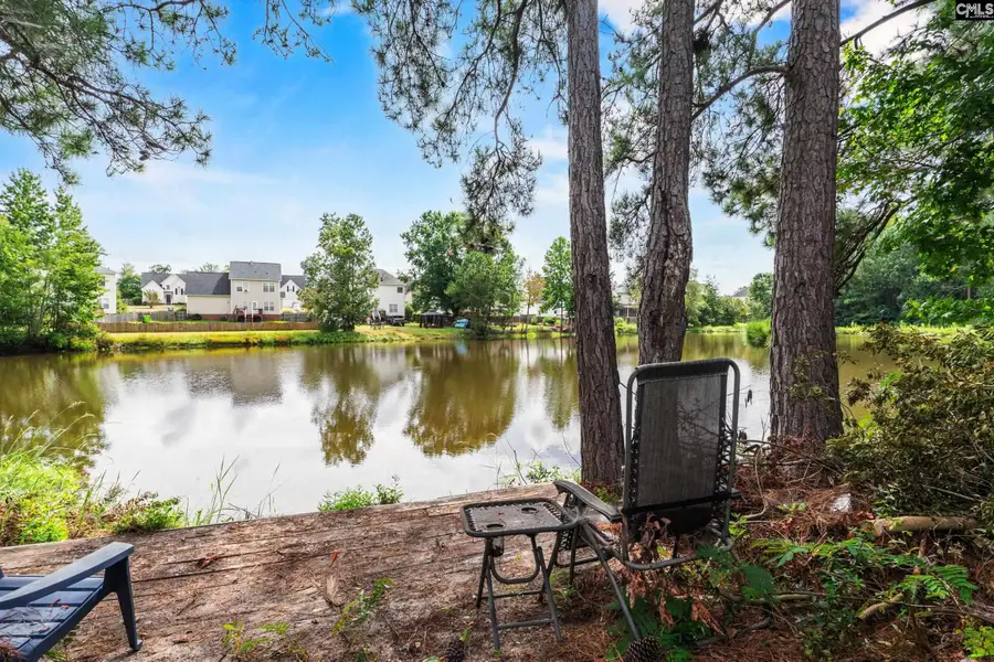 153 Summer Pines Drive, Blythewood, SC 29016 - #3