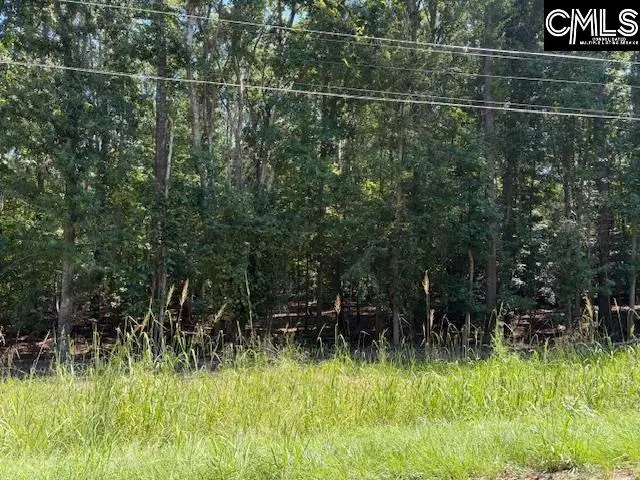 0 Wildwood Rd Extension, Leesville, SC 29070 - #3