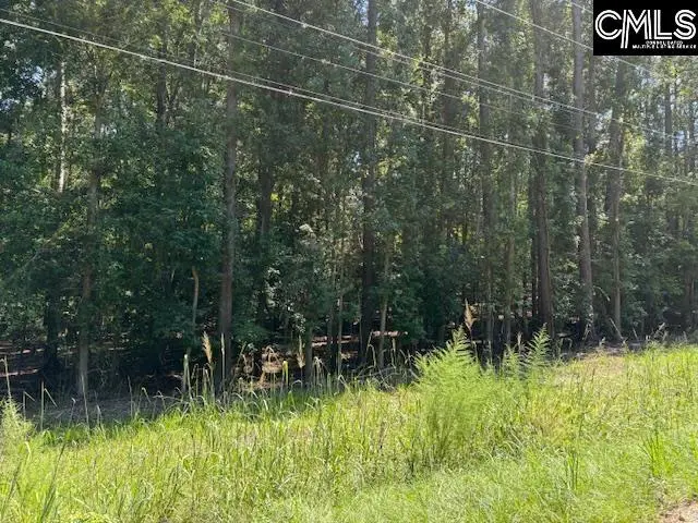 0 Wildwood Rd Extension, Leesville, SC 29070 - #2