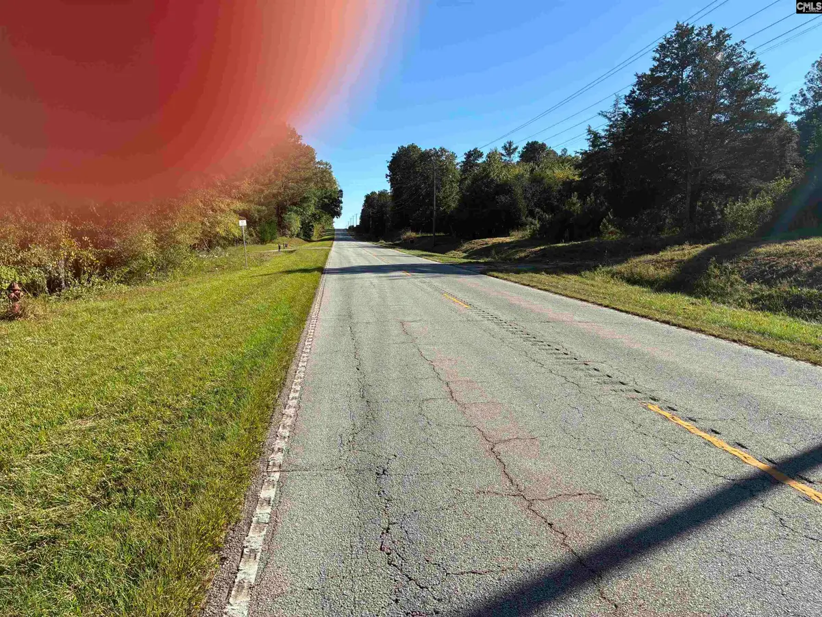21225 Sc Hwy 121, Whitmire, SC 29178 - #1