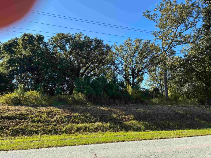 21225 Sc Hwy 121, Whitmire, SC 29178 - #2