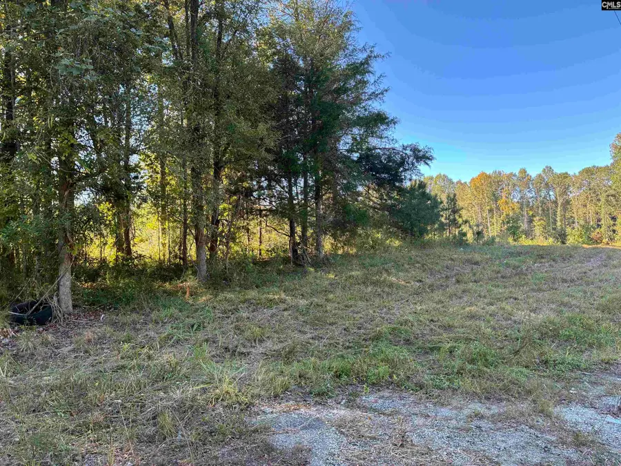 21225 Sc Hwy 121, Whitmire, SC 29178 - #3