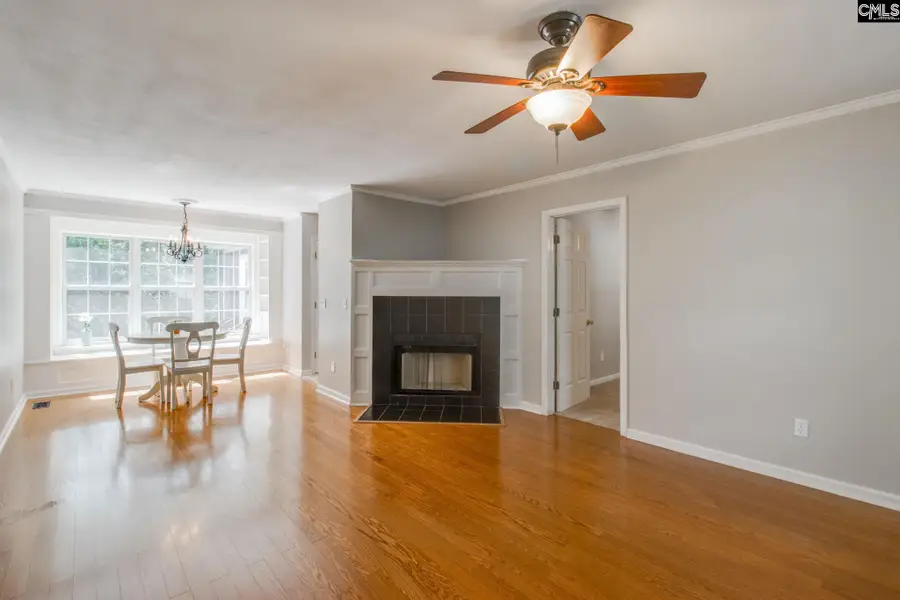 930 Sandfield Road, Blythewood, SC 29016 - #3