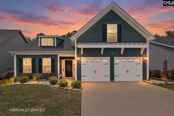 432 Sapphire Lane, Chapin, SC 29036