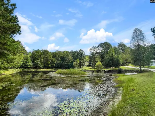 6671 Platt Springs Road, Lexington, SC 29073