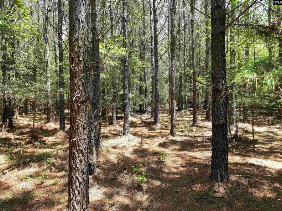 TBD Elford Grove Road, Jonesville, SC 29353 - #3