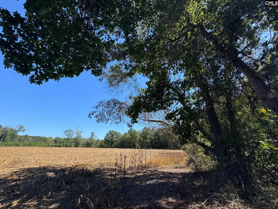 Saint Matthews Church Road, Sumter, SC 29153 - #2
