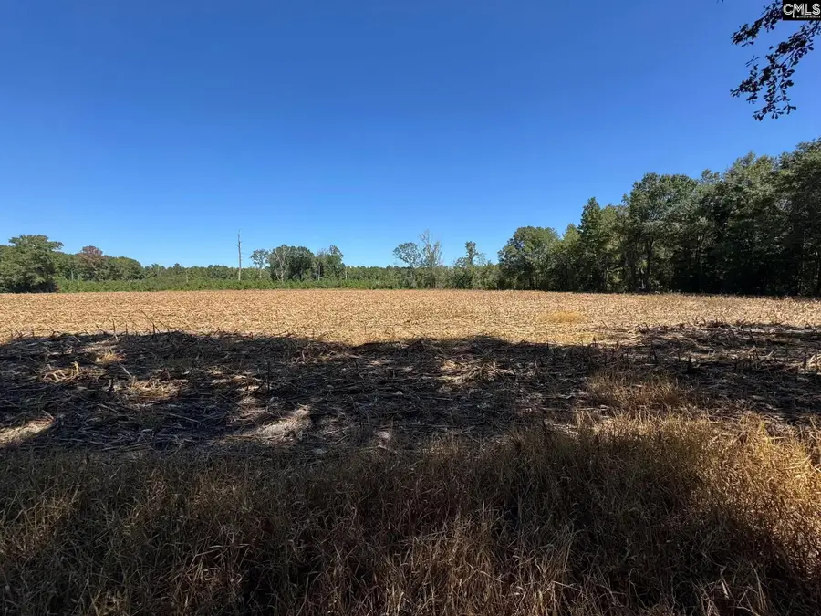 Saint Matthews Church Road, Sumter, SC 29153 - #3