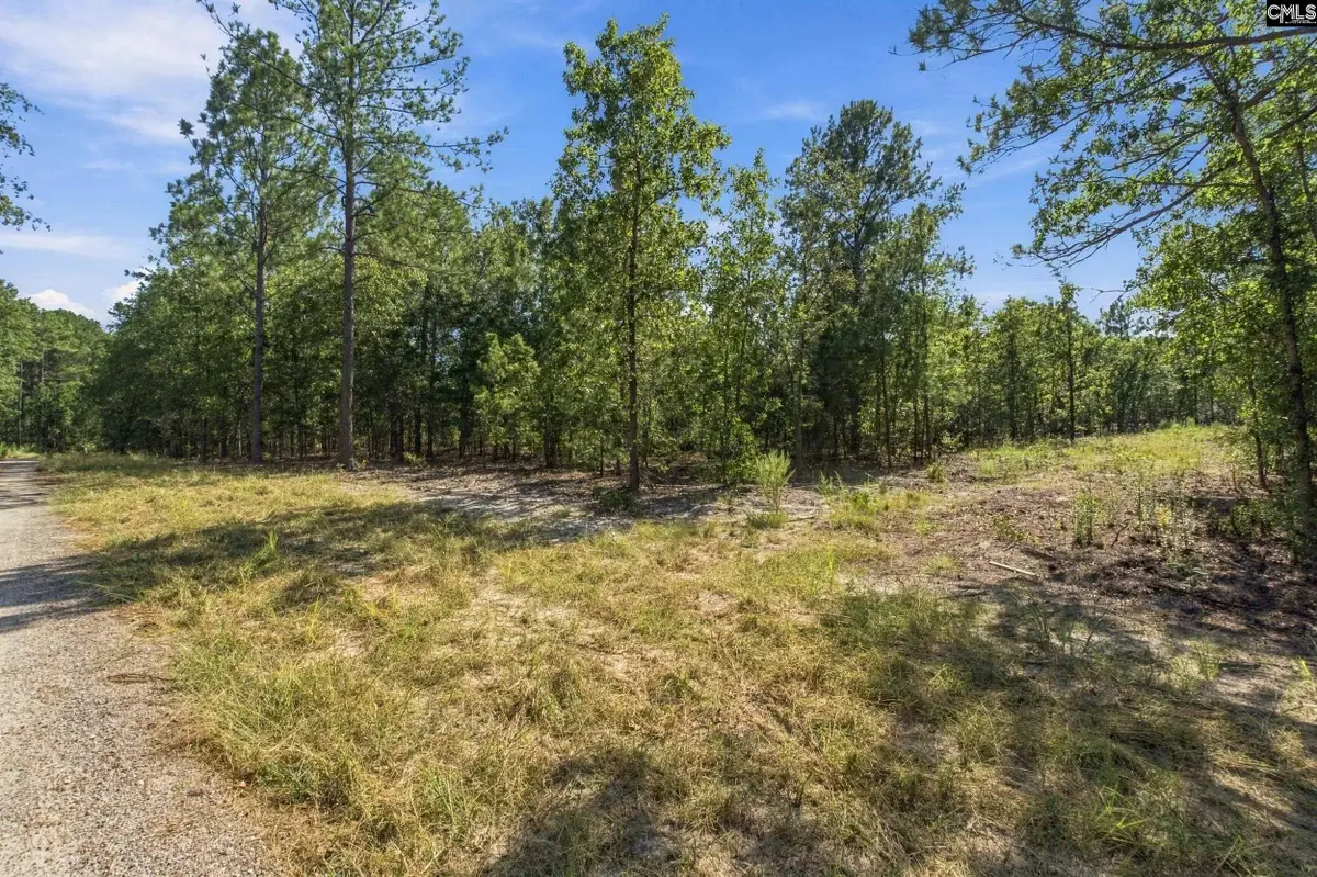157 Pointers Path, Camden, SC 29020 - #1