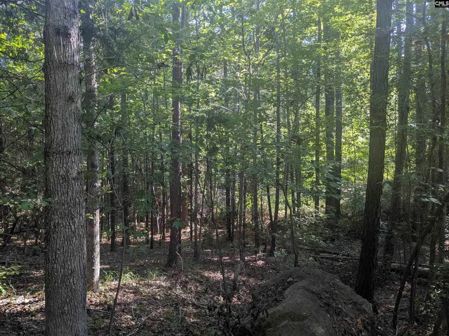0 Timberlane Drive, Winnsboro, SC 29180 - #2