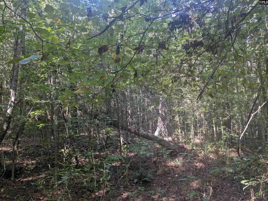 0 Timberlane Drive, Winnsboro, SC 29180 - #3