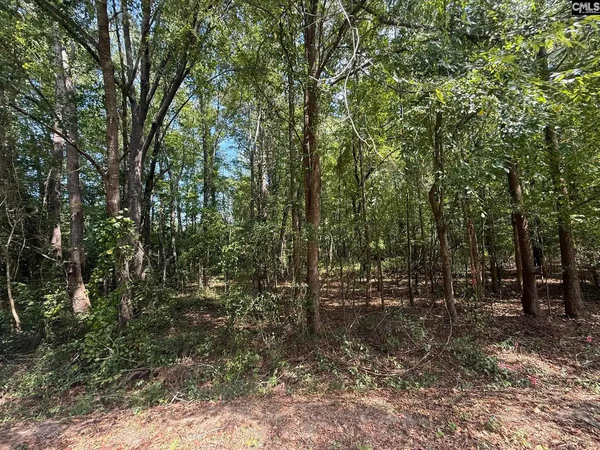 3938 Timrod Road, Bethune, SC 29009 - #1