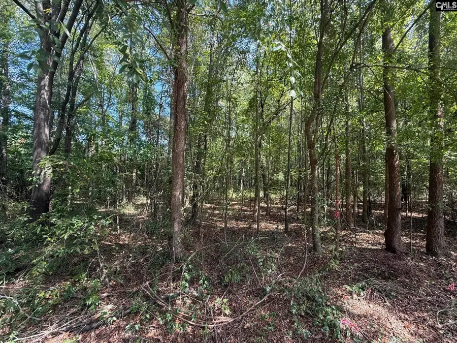 3938 Timrod Road, Bethune, SC 29009 - #2