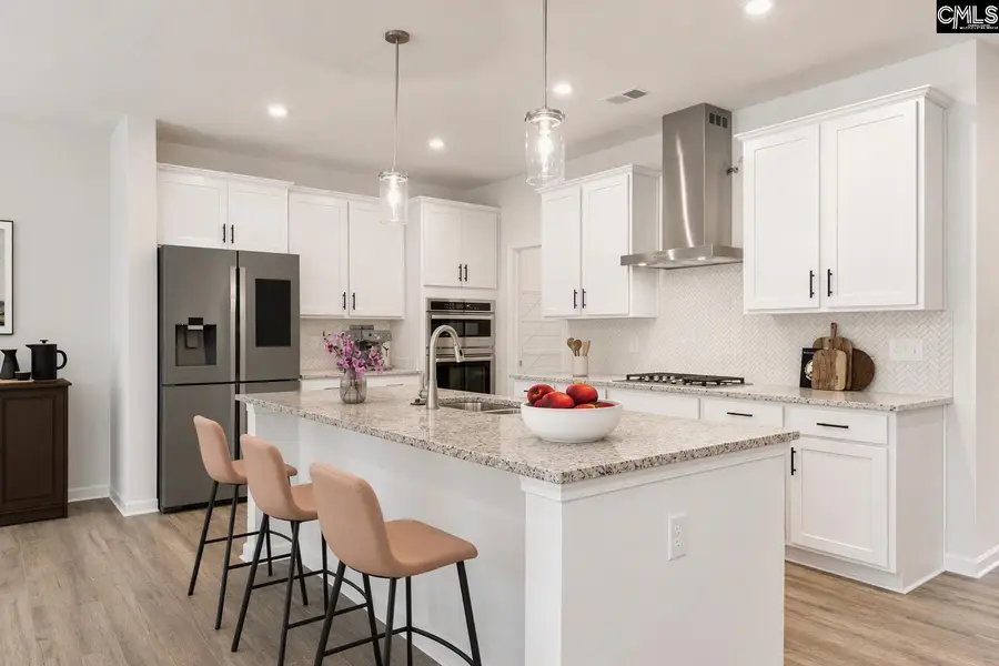 647 Griffon Drive, Chapin, SC 29036 - #2