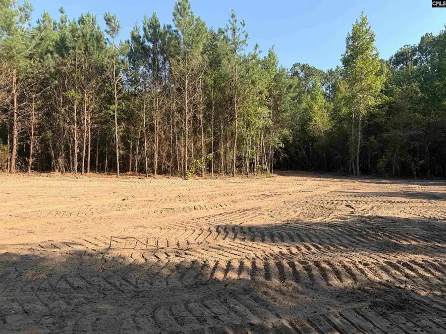 TBD New Hopewell Road, Hartsville, SC 29550 - #3