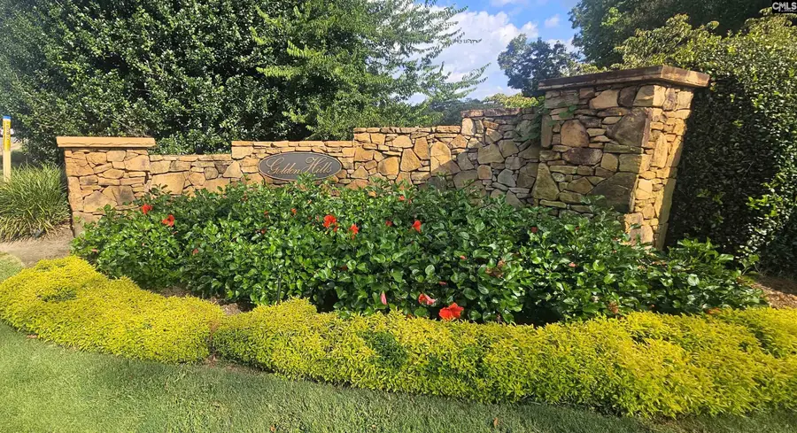 141 Clayborn Street, Lexington, SC 29072 - #2