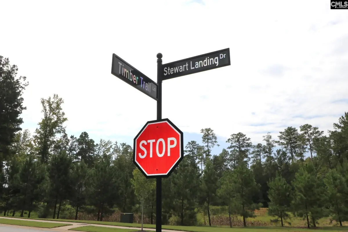 LOT 107 Timber Trail Lane, Prosperity, SC 29127 - #1