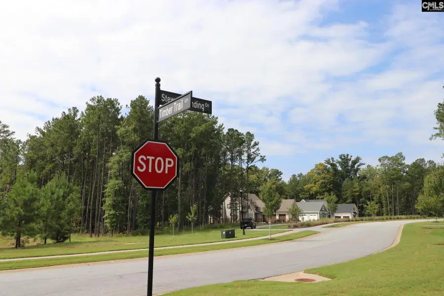 LOT 107 Timber Trail Lane, Prosperity, SC 29127 - #2