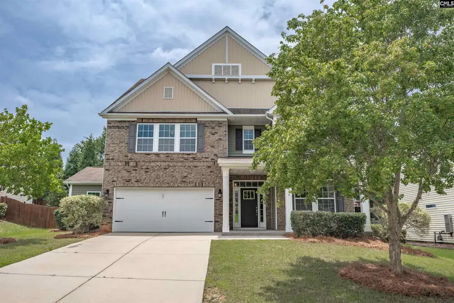 246 Mill House Lane, Lexington, SC 29072 - #2
