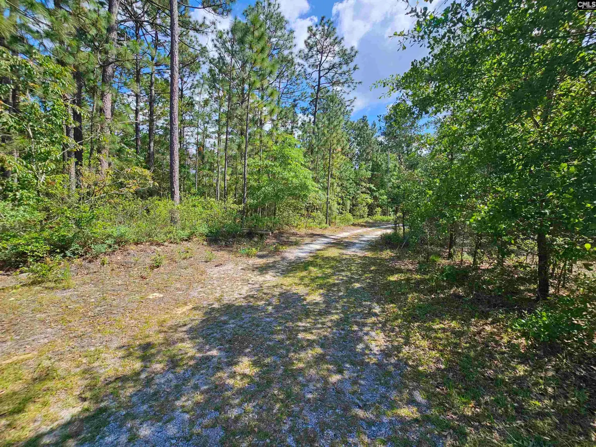 170 Happy Ridge Drive, West Columbia, SC 29170 - #1
