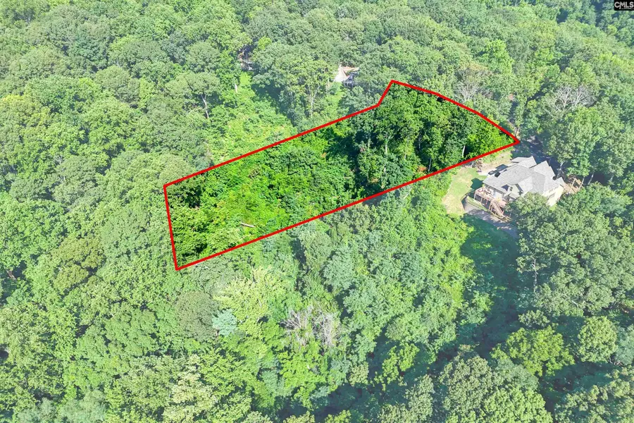 10 Northslope View, Landrum, SC 29356 - #3