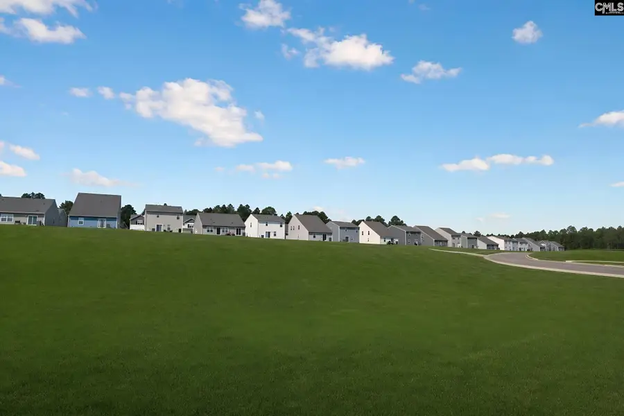444 Happy Hollow Drive, Gaston, SC 29053 - #3
