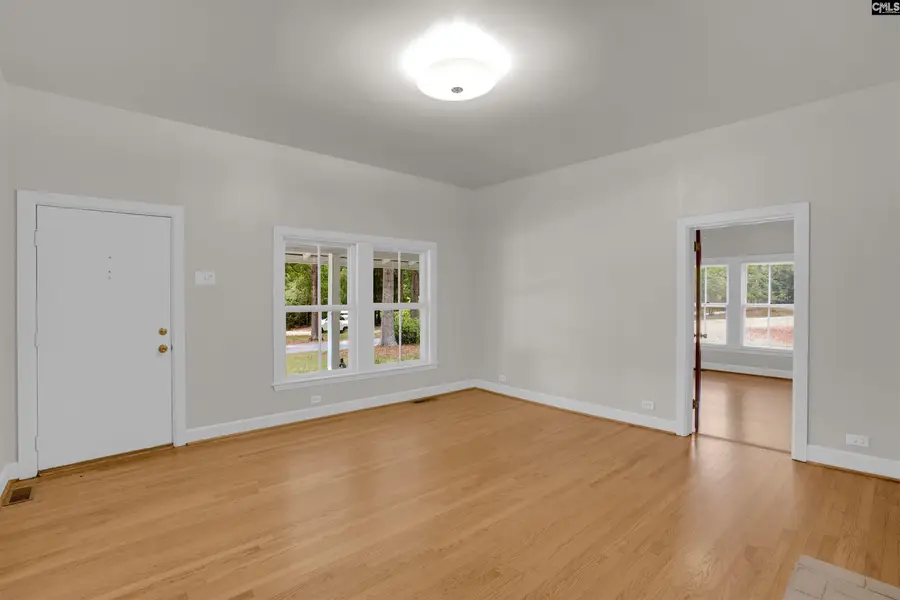 157 Hiller Road, Chapin, SC 29036 - #3