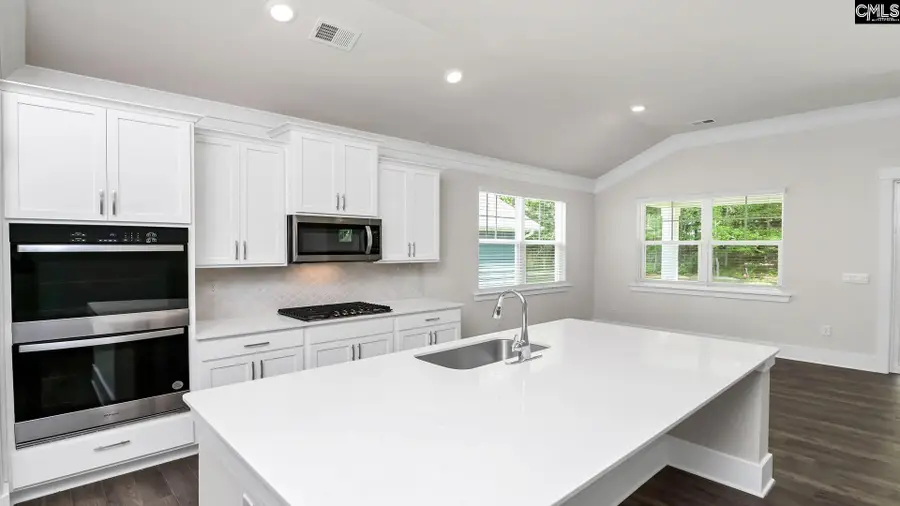 141 Sunny Stream Drive, Chapin, SC 29036 - #2