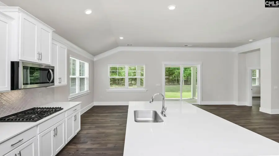 141 Sunny Stream Drive, Chapin, SC 29036 - #3