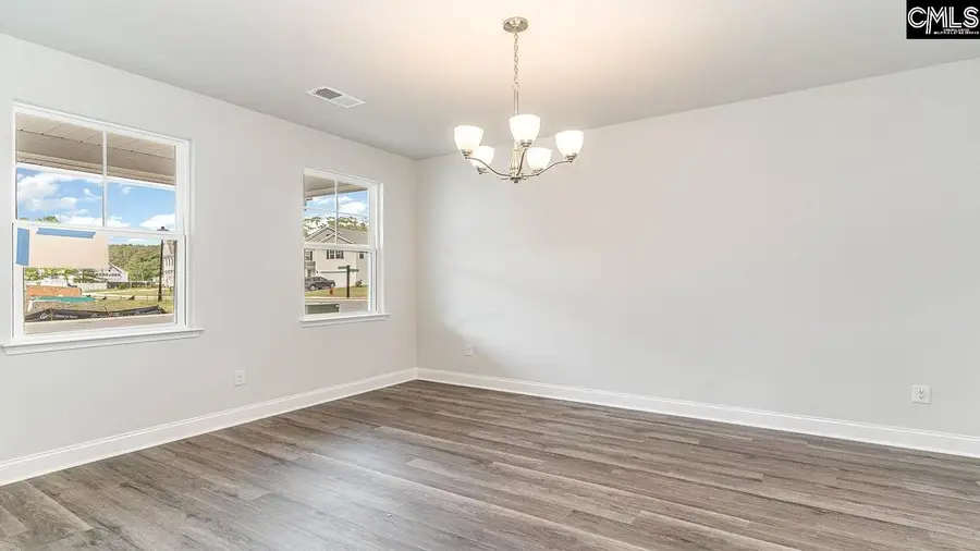 145 Sunny Stream Drive, Chapin, SC 29036 - #2