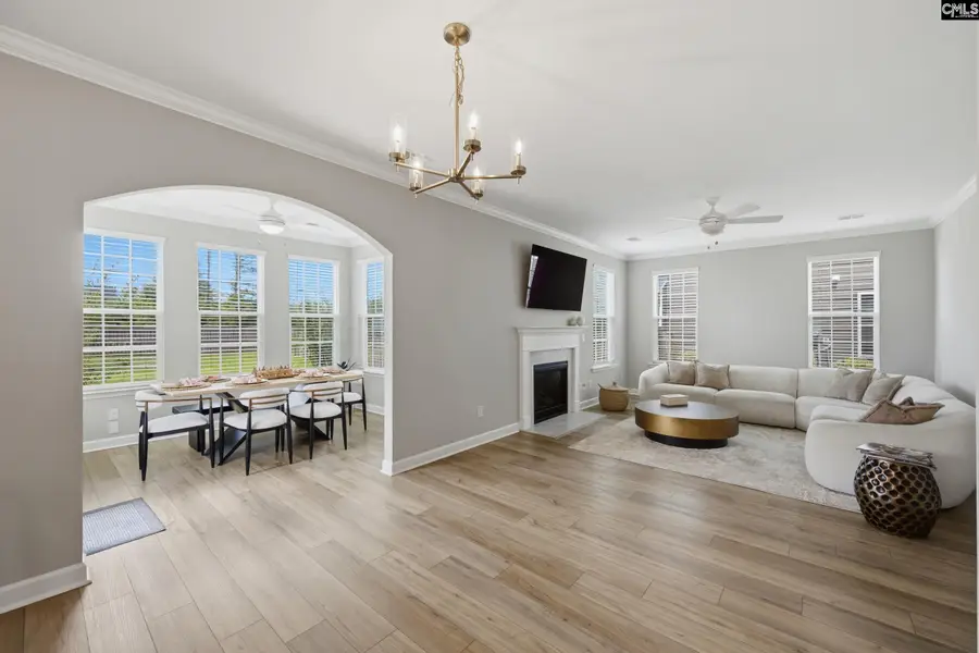 308 Haflinger Lane, Lexington, SC 29072 - #3
