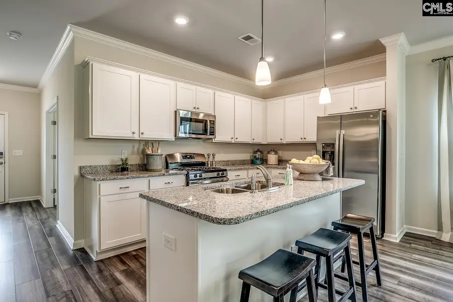 208 Denington Drive, Elgin, SC 29045 - #3