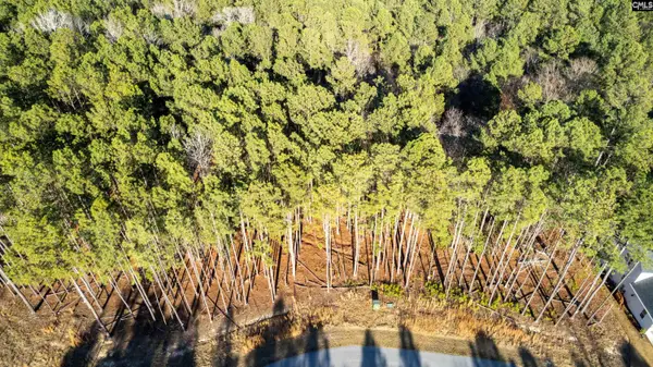 83 Timber Trail Lane, Prosperity, SC 29217